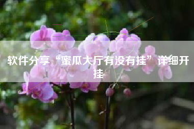 软件分享“蜜瓜大厅有没有挂”详细开挂