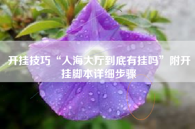 开挂技巧“人海大厅到底有挂吗”附开挂脚本详细步骤