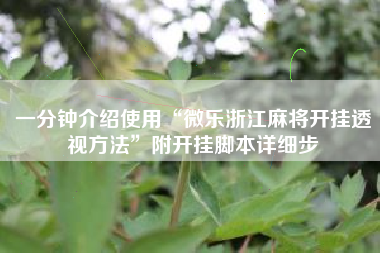 一分钟介绍使用“微乐浙江麻将开挂透视方法	”附开挂脚本详细步