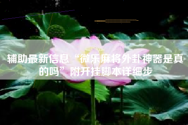 辅助最新信息“微乐麻将外卦神器是真的吗”附开挂脚本详细步