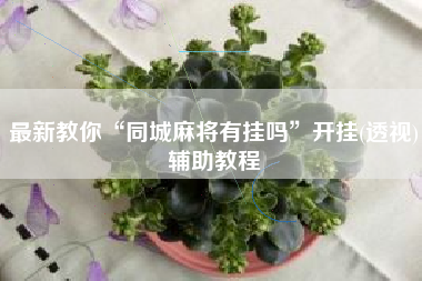 最新教你“同城麻将有挂吗”开挂(透视)辅助教程