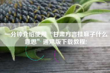 一分钟介绍使用“甘肃方言挂麻子什么意思	”通用版下载教程!