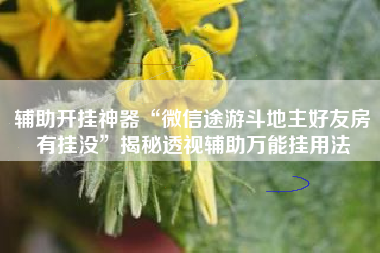 辅助开挂神器“微信途游斗地主好友房有挂没”揭秘透视辅助万能挂用法