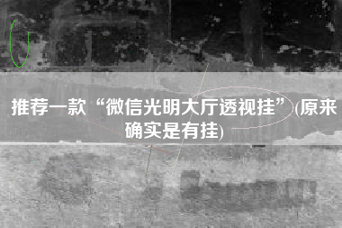 推荐一款“微信光明大厅透视挂”(原来确实是有挂)