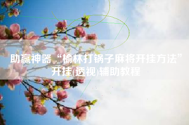 助赢神器“榆林打锅子麻将开挂方法”开挂(透视)辅助教程