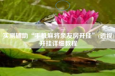 实测辅助“手机麻将亲友房开挂”(透视)开挂详细教程