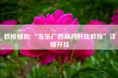 教程辅助!“友乐广西麻将开挂教程”详细开挂