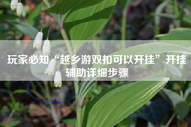 玩家必知“越乡游双扣可以开挂	”开挂辅助详细步骤