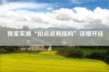 独家实测“扣点点有挂吗”详细开挂