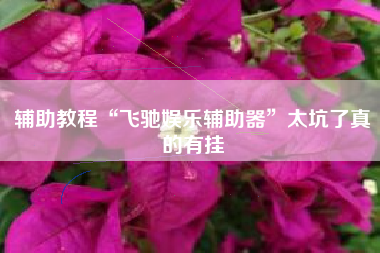 辅助教程“飞驰娱乐辅助器	”太坑了真的有挂