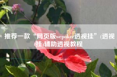 推荐一款“网页版wepoker透视挂”(透视挂)辅助透视教程