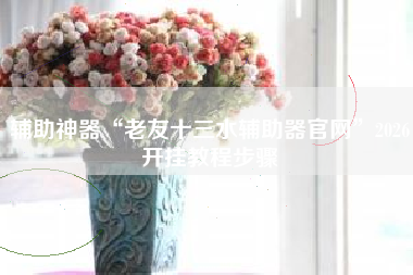 辅助神器“老友十三水辅助器官网”2026开挂教程步骤