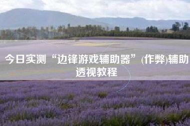 今日实测“边锋游戏辅助器”(作弊)辅助透视教程