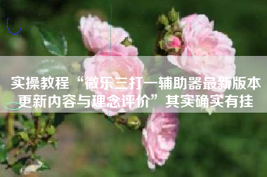 实操教程“微乐三打一辅助器最新版本更新内容与理念评价”其实确实有挂