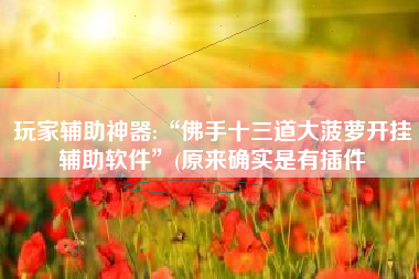 玩家辅助神器:“佛手十三道大菠萝开挂辅助软件”(原来确实是有插件