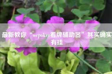 最新教你“wepoker看牌辅助器”其实确实有挂