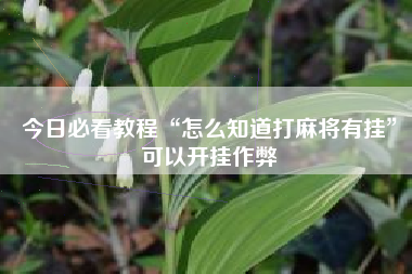 今日必看教程“怎么知道打麻将有挂”可以开挂作弊