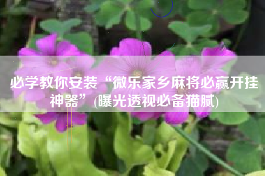 必学教你安装“微乐家乡麻将必赢开挂神器	”(曝光透视必备猫腻)