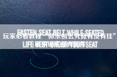 玩家必看教程“微乐刨幺究竟有没有挂”(原来确实是有插件