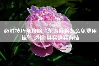 必胜技巧全攻略“东游麻将怎么免费用挂	”(透视)其实确实有挂