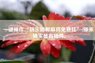 一键操作“胡乐邯郸麻将免费挂”(原来确实是有插件