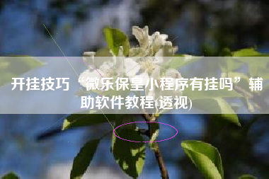 开挂技巧“微乐保皇小程序有挂吗	”辅助软件教程(透视)