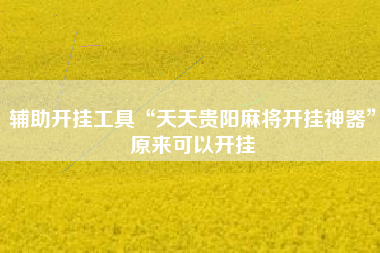 辅助开挂工具“天天贵阳麻将开挂神器”原来可以开挂