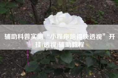 辅助科普实测“小程序跑得快透视”开挂(透视)辅助教程