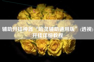 辅助开挂神器“哈灵辅助通用版	”(透视)开挂详细教程