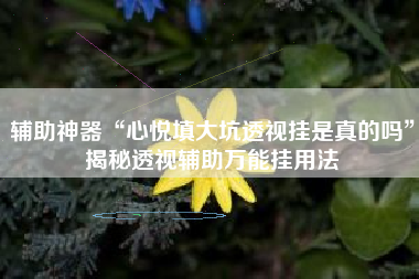 辅助神器“心悦填大坑透视挂是真的吗”揭秘透视辅助万能挂用法