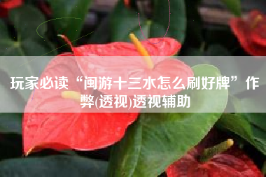 玩家必读“闽游十三水怎么刷好牌”作弊(透视)透视辅助