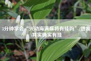 3分钟学会“兴动海满麻将有挂吗	”(透视)其实确实有挂