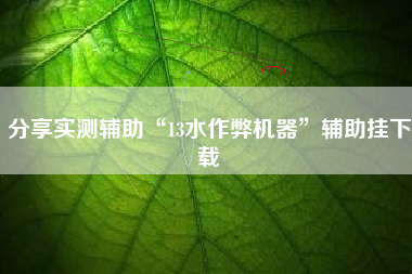 分享实测辅助“13水作弊机器”辅助挂下载