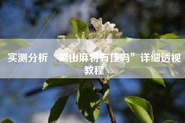 实测分析“蜀山麻将有挂吗”详细透视教程