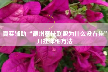 真实辅助“德州竞技联盟为什么没有挂”开挂详细方法