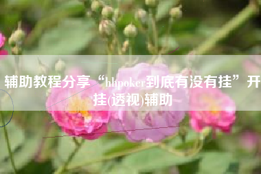 辅助教程分享“hhpoker到底有没有挂”开挂(透视)辅助