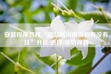 安装程序教程“朋友局河南麻将有没有挂	”开挂(透视)辅助神器