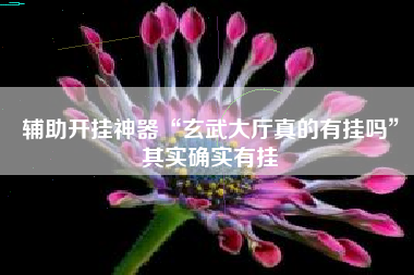 辅助开挂神器“玄武大厅真的有挂吗”其实确实有挂