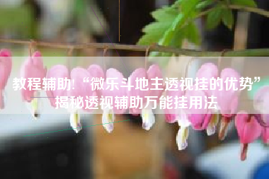 教程辅助!“微乐斗地主透视挂的优势”揭秘透视辅助万能挂用法