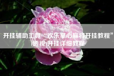 开挂辅助工具“欢乐掌心麻将开挂教程”(透视)开挂详细教程