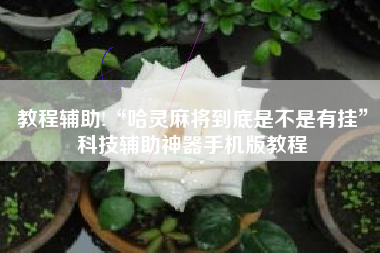 教程辅助!“哈灵麻将到底是不是有挂	”科技辅助神器手机版教程