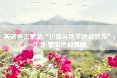 实测神器辅助“边锋斗地主透视软件”(作弊)辅助透视教程