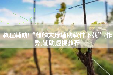 教程辅助!“麒麟大厅辅助软件下载”(作弊)辅助透视教程