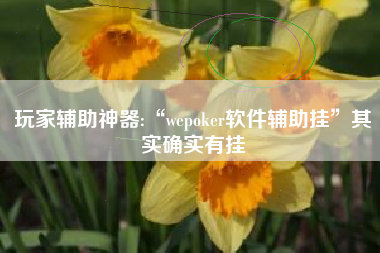 玩家辅助神器:“wepoker软件辅助挂”其实确实有挂
