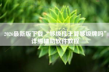 2026最新版下载“够级挂王算够级牌吗”详细辅助软件教程