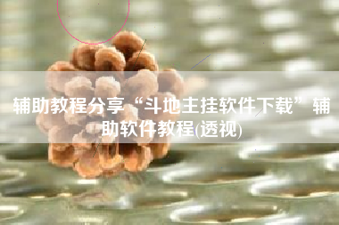 辅助教程分享“斗地主挂软件下载”辅助软件教程(透视)