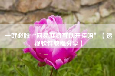 一键必胜“网易麻将可以开挂吗”【透视软件教程分享】