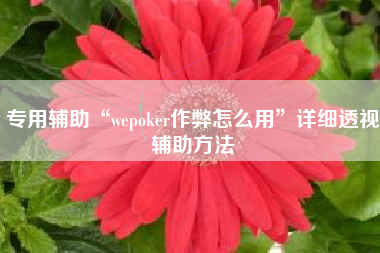 专用辅助“wepoker作弊怎么用”详细透视辅助方法