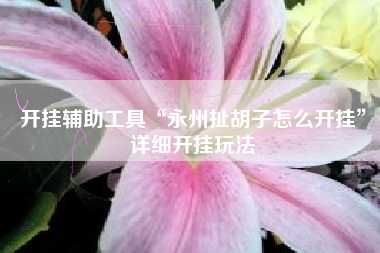 开挂辅助工具“永州扯胡子怎么开挂”详细开挂玩法