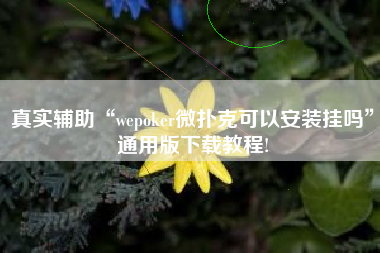 真实辅助“wepoker微扑克可以安装挂吗”通用版下载教程!